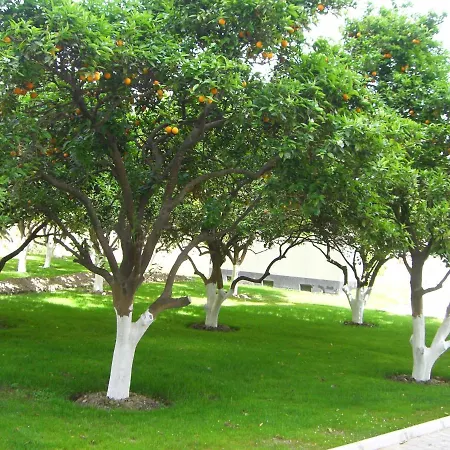 Lägenhet Orange B